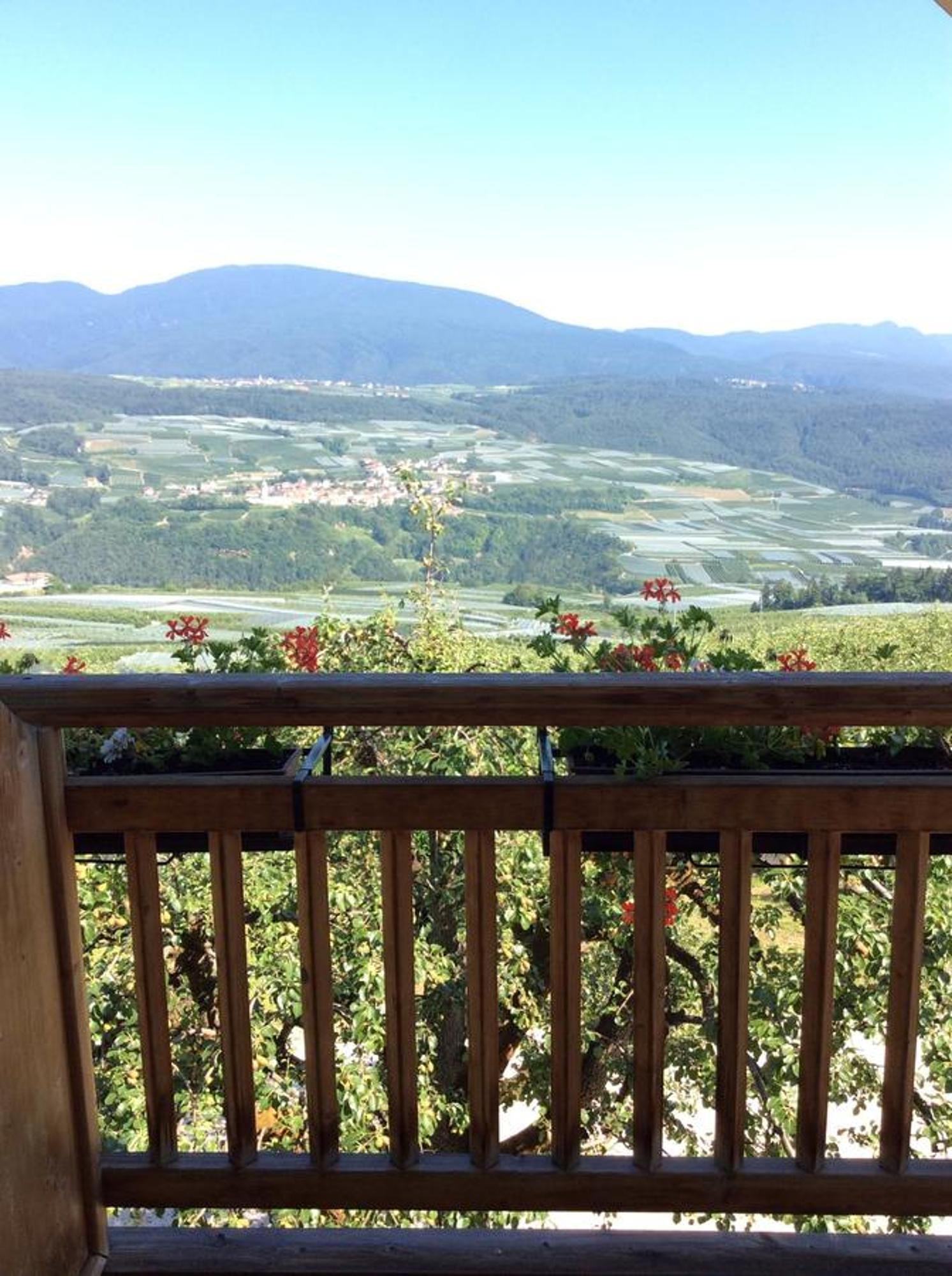 Agriturismo Maso Tafol Villa Cloz Phòng bức ảnh
